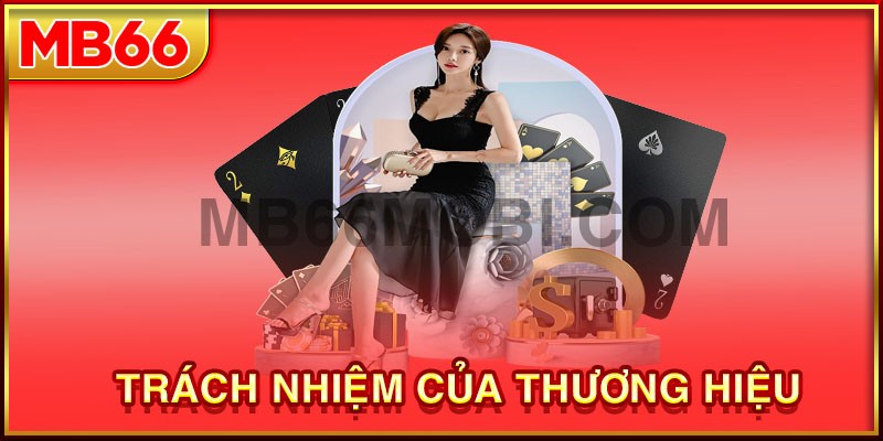 Trách nhiệm của đơn vị trong các điều khoản dịch vụ