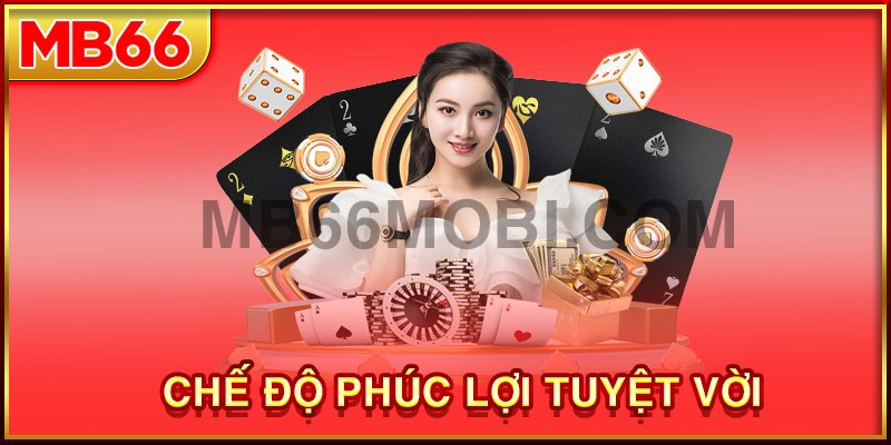 Lý do nên làm việc tại thương hiệu mb66