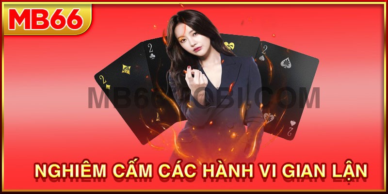 MB66 được phép miễn trừ trách nhiệm khi người dùng khai báo gian lận