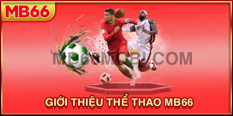 Đôi nét về thể thao MB66